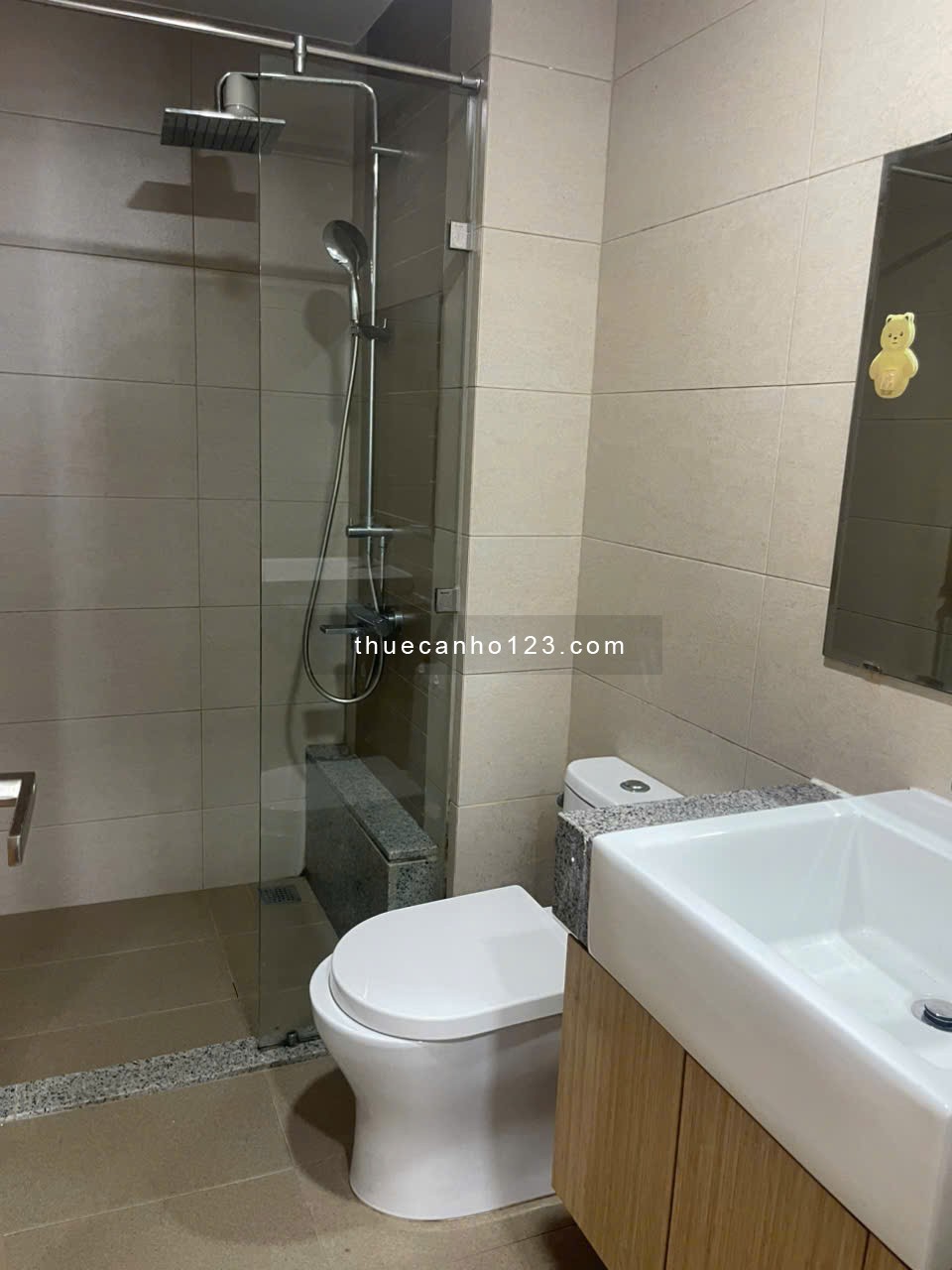 Chung cư Ruby, Nguyễn Sỹ Sách, TB: 70m2, 2p ngủ, nhà mới, 9triệu - Ảnh 4