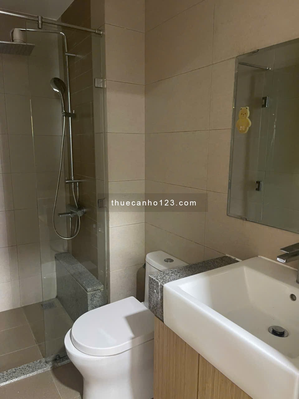 Chung cư Ruby, Nguyễn Sỹ Sách, TB: 70m2, 2p ngủ, nhà mới, 9triệu - Ảnh 5