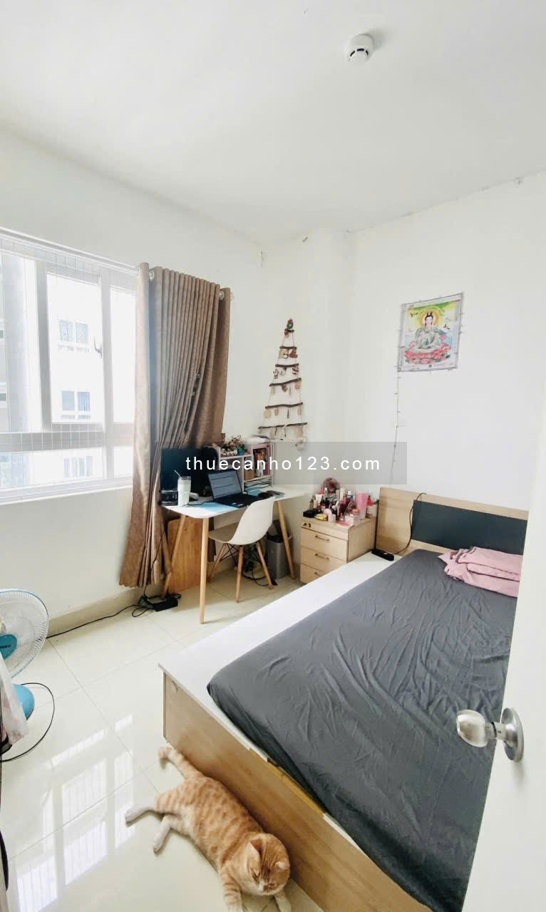 Chung cư Topaz Garden, Trịnh Đình Thảo, TP: 75m2, 2pn, có NT, 9triệu - Ảnh 1
