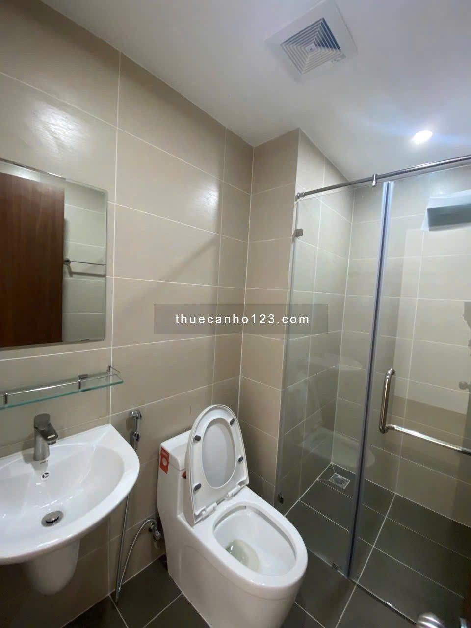 Topaz Garden, Trịnh Đình Thảo, Tân Phú: 79m2, 2p ngủ, 2wc, NTCB, 9,5tr - Ảnh 8