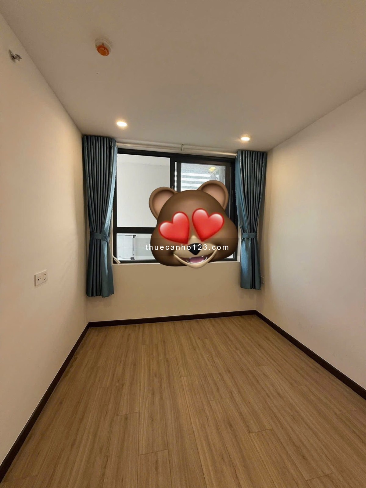 Cho thuê căn hộ 1PN Skyview Chánh Nghĩa, 6 triệu/tháng - Ảnh 3