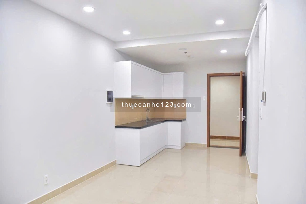 Chung cư Topaz Garden, Trịnh Đình Thảo, TP: 2p ngủ, nhà mới, NTCB, 9tr/tháng - Ảnh 2