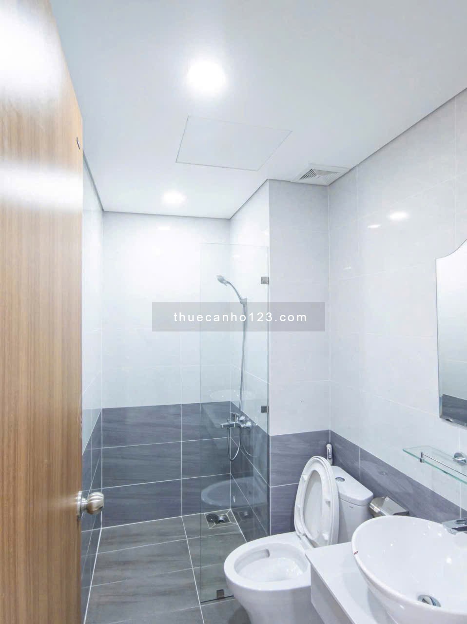 Chung cư Topaz Garden, Trịnh Đình Thảo, TP: 2p ngủ, nhà mới, NTCB, 9tr/tháng - Ảnh 3