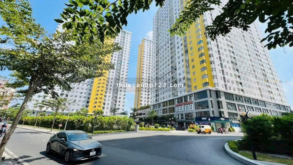 Căn hộ cho thuê Diamond Riverside – 2PN & 3PN – Giá chỉ từ 8,5tr/tháng - Ảnh 1