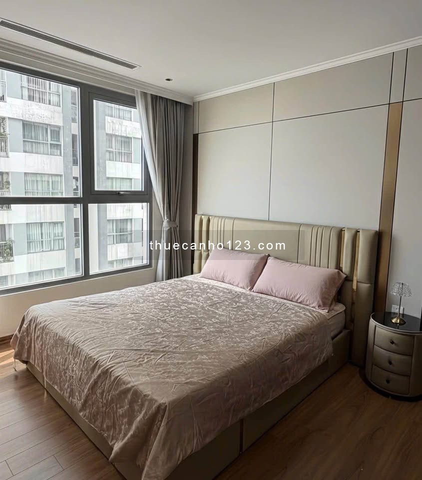 Cho thuê dài hạn căn hộ Times city 3 ngủ, 118m2, đầy đủ nội thất, 21tr - Ảnh 2