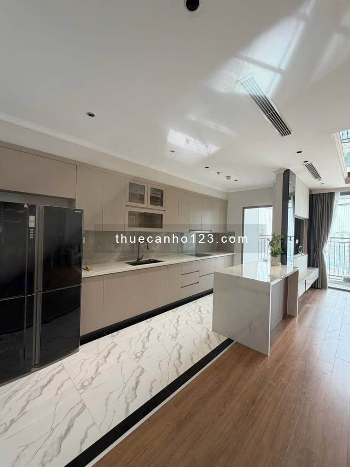 Cho thuê dài hạn căn hộ Times city 3 ngủ, 118m2, đầy đủ nội thất, 21tr - Ảnh 3