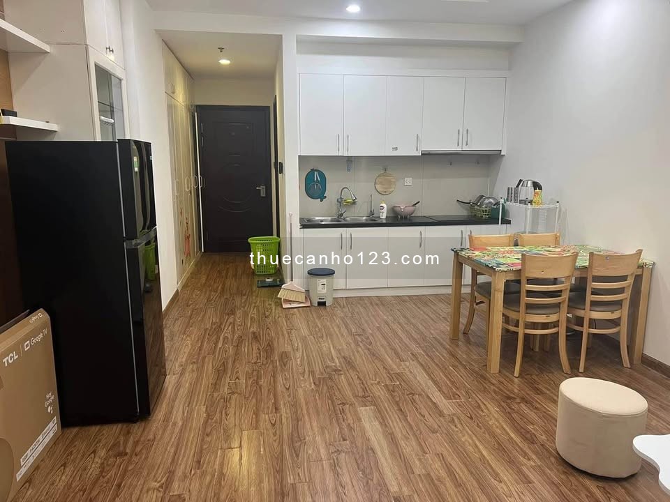 Cho thuê 1PN Times City - Nhà đẹp như ảnh - Chủ dễ tính - Ảnh 3