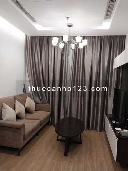 Cho thuê căn hộ 55 m2 1 P. NGỦ M2 Vinhomes Metropolis Liễu Giai - Ảnh 5
