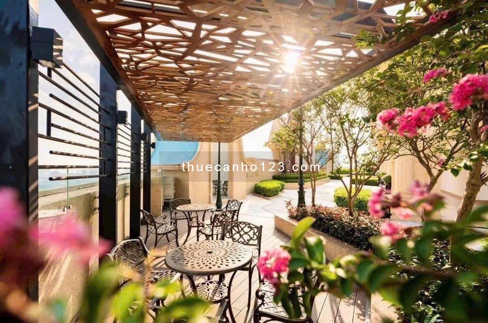 Cho thuê căn hộ D’El Dorado Lạc Long Quân 35m² – nhà đẹp, full nội thất - Ảnh 2