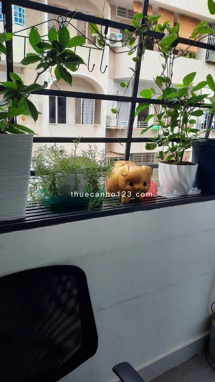 CHung cư Nguyễn Tri Phương, P8, Q5, 70m2, 2PN, 1WC, Lầu 4, Thang bộ, 9tr/th. - Ảnh 5