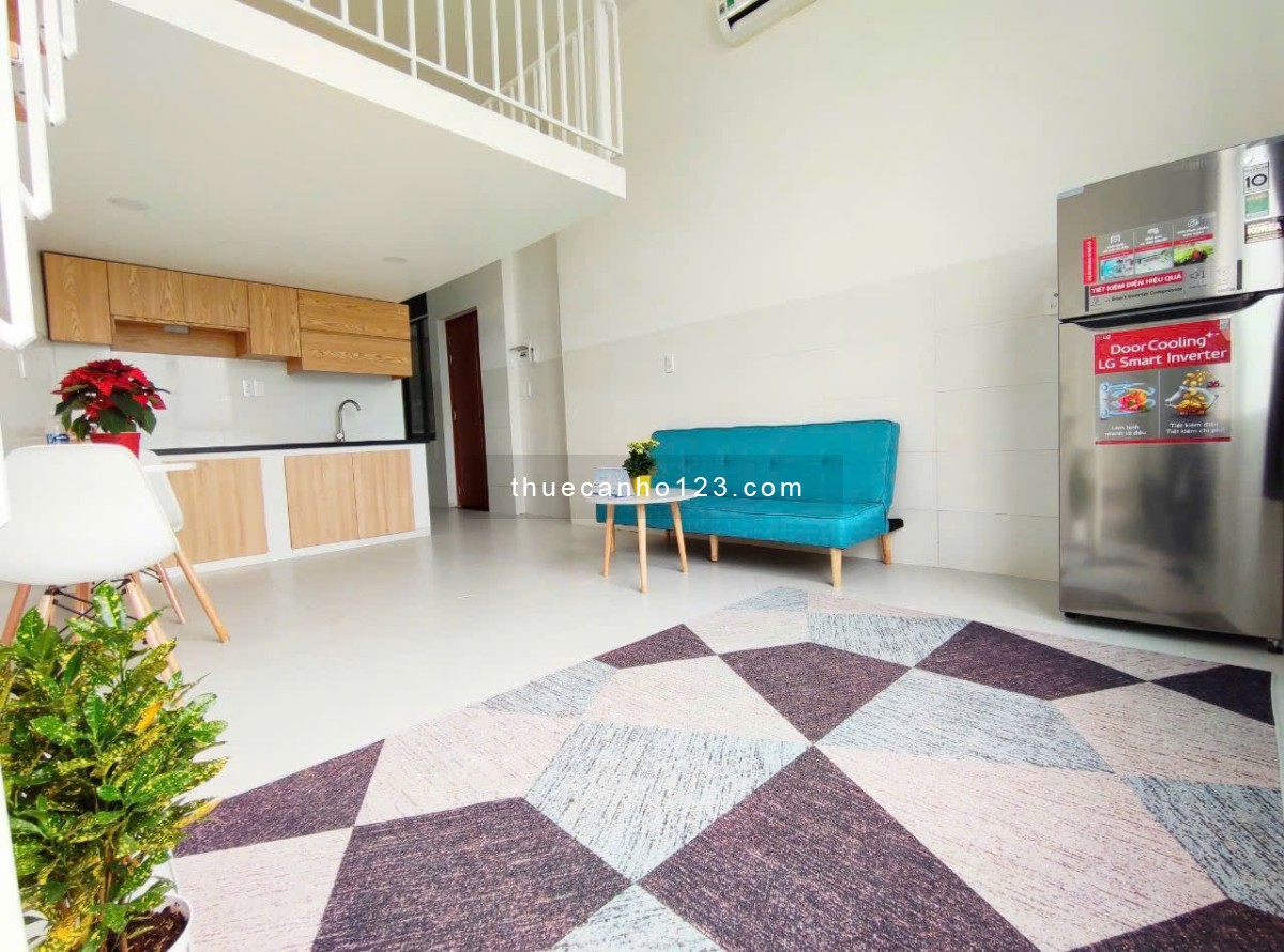 Cho thuê căn hộ duplex cửa sổ lớn gác cao gần sân bay Tân Sơn Nhất, GaT3, Hoàng Hoa Thám Tân Bình - Ảnh 7