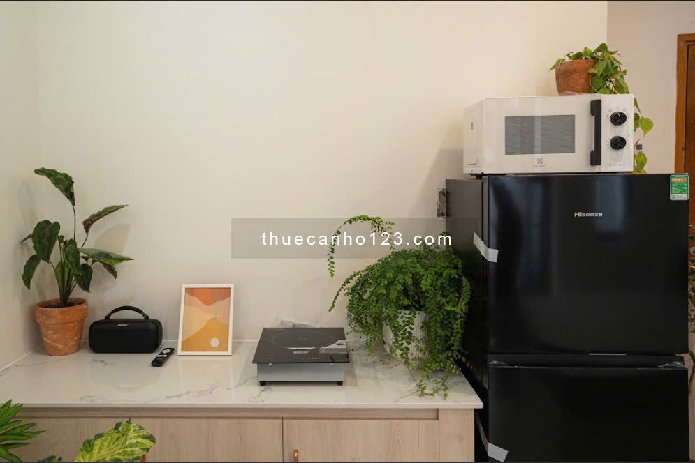 Cho Thuê Căn Hộ Ban Công Full Nội Thất Có Thang Máy Quận 1 - Ảnh 5