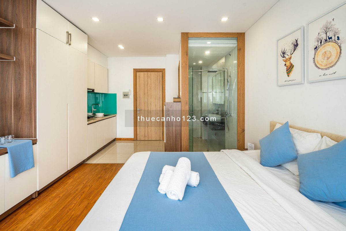 Căn hộ cho thuê quận 1 đường Trần Đình Xu ngay chợ Bến Thành gần cầu Ông Lãnh full tiện nghi - Ảnh 5