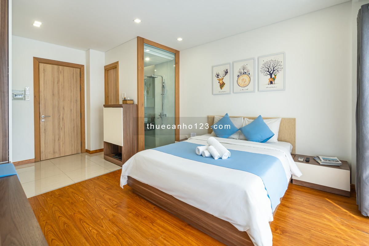 Căn hộ cho thuê quận 1 đường Trần Đình Xu ngay chợ Bến Thành gần cầu Ông Lãnh full tiện nghi - Ảnh 3