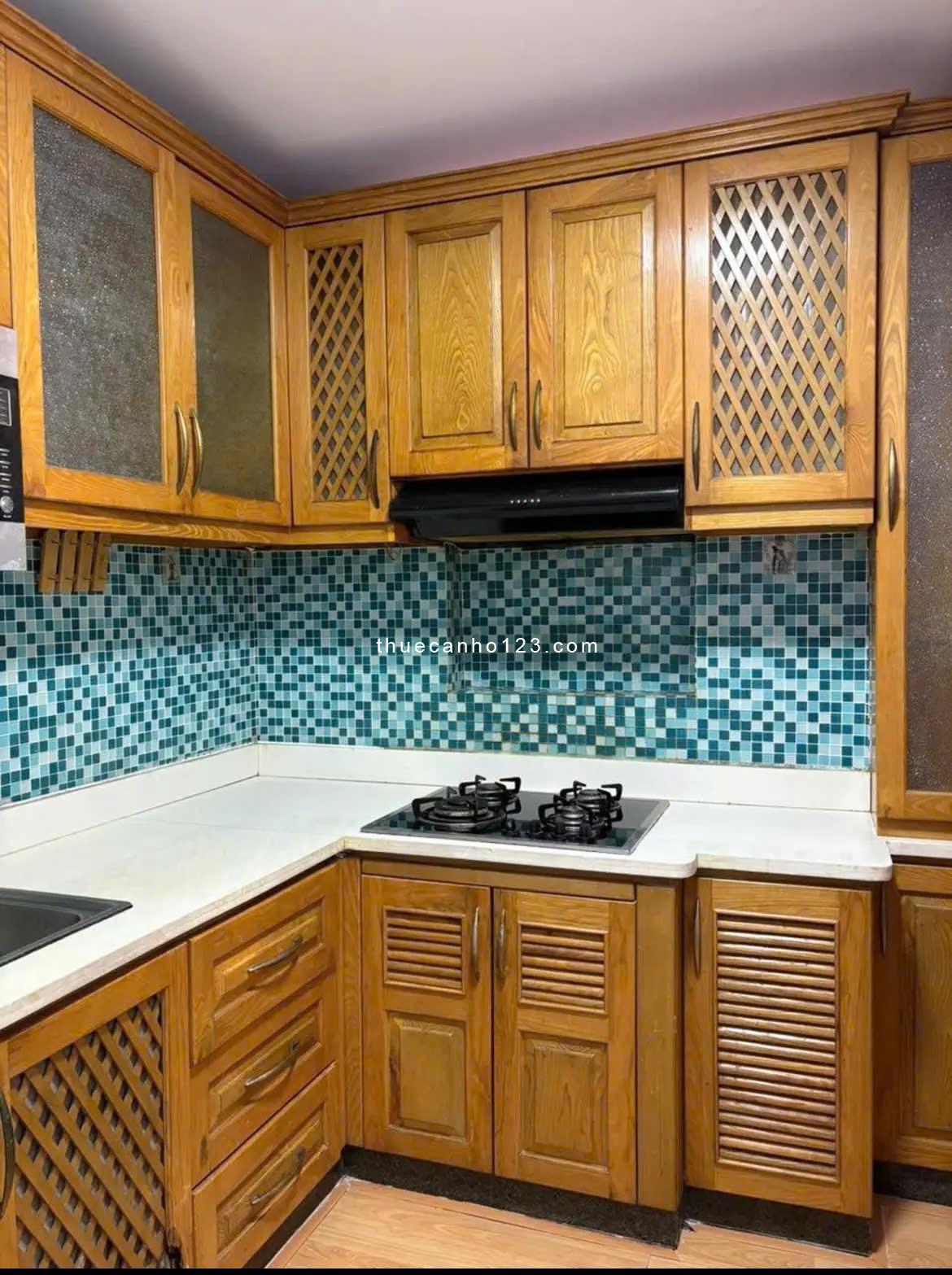 Chung cư Screc, Trường Sa, Quận 3, 87m2, 2PN, Căn Góc, 13tr/tháng. Mới - Ảnh 9