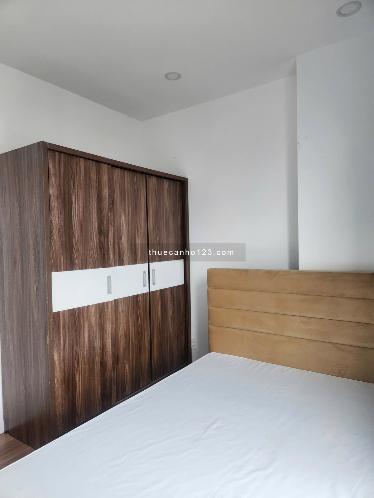 Cho thuê căn 2PN full nội thất - Chung cư Dlusso Nguyễn Thị Định Quận 2 - Ảnh 2
