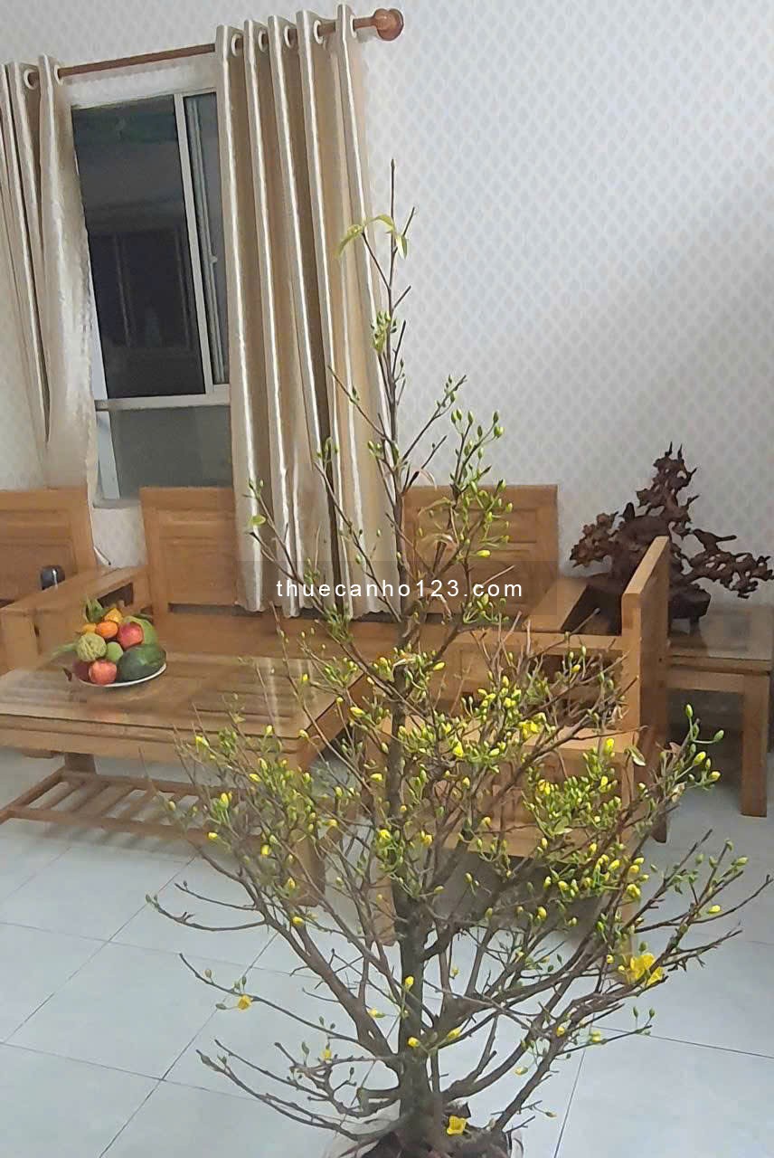 C/C An Dương Vương, P8, Q5: 73m2, 2p ngủ, NT giá 9tr. Thang Bộ, L4. - Ảnh 3
