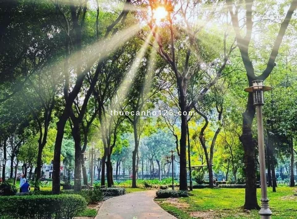 Rổ hàng cho thuê 1PN - 2PN - 3PN giá tốt tại Celadon City - Ảnh 4