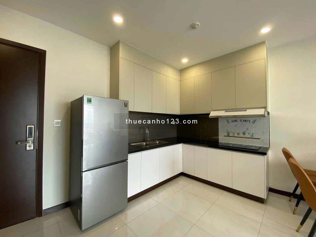 Cho thuê căn chung cư Sky View - Chánh Nghĩa - Thủ Dầu Một - Bình Dương - Ảnh 5
