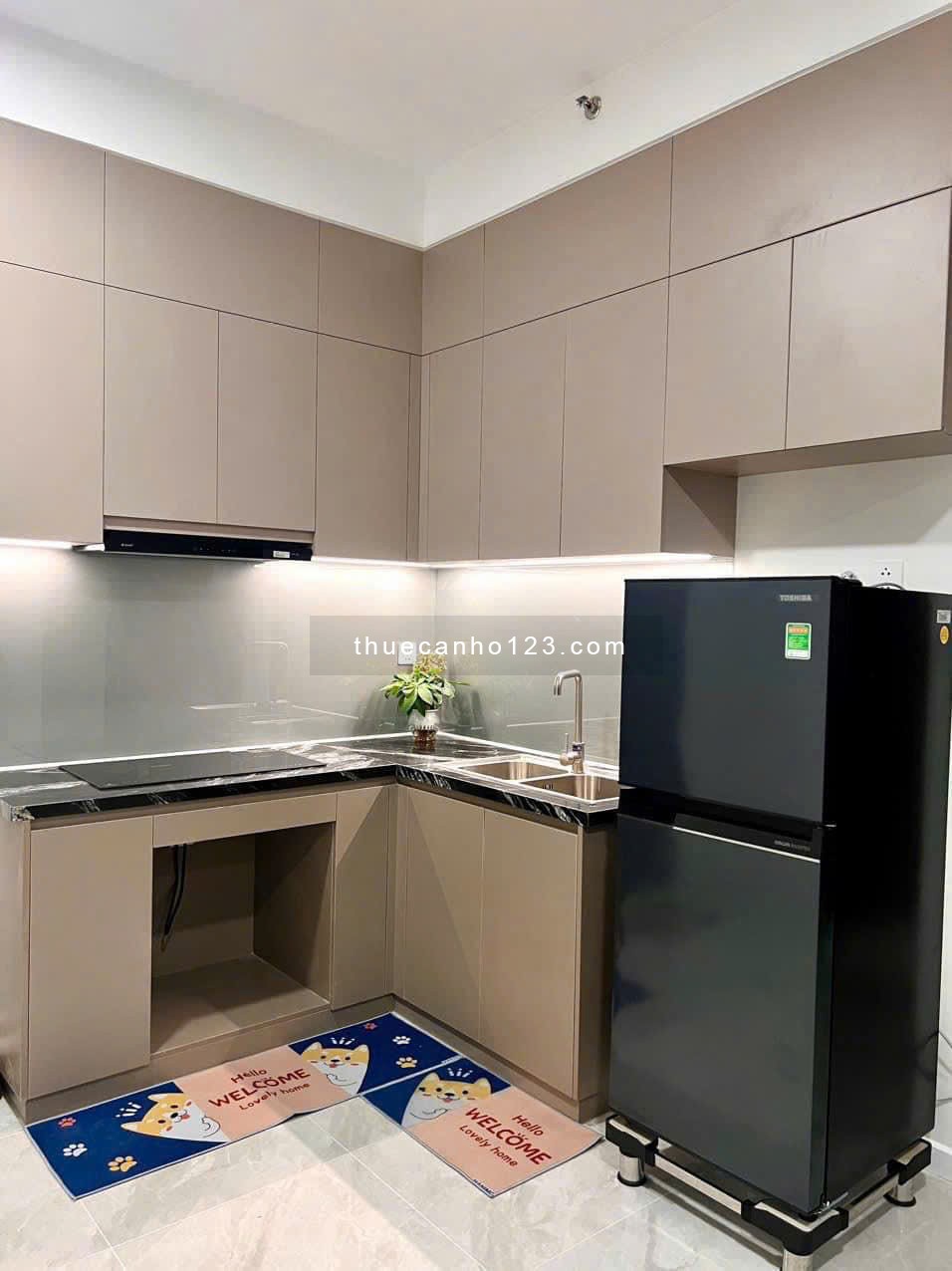 Chung cư Mỹ Phước, Bùi Hữu Nghĩa, BT: 60m2, 1p ngủ, 1wc, 8tr5/tháng - Ảnh 3