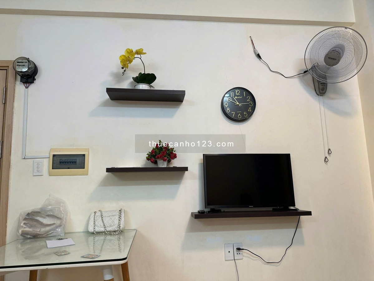 C/c Nguyễn Ngọc Phương, BT, 60m2, 1PN, 1WC, Nội Thất, Căn Góc. 8tr5/th - Ảnh 3