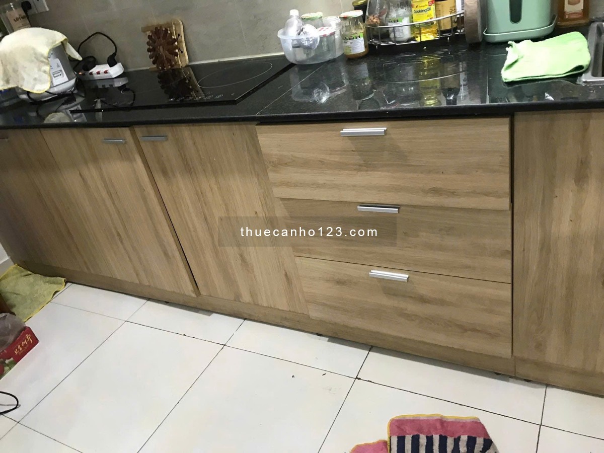 CC Lotus Garden, 36 Trịnh Đình Thảo, Hòa Thạnh, TP, 70m2, 9tr5/tháng. - Ảnh 2