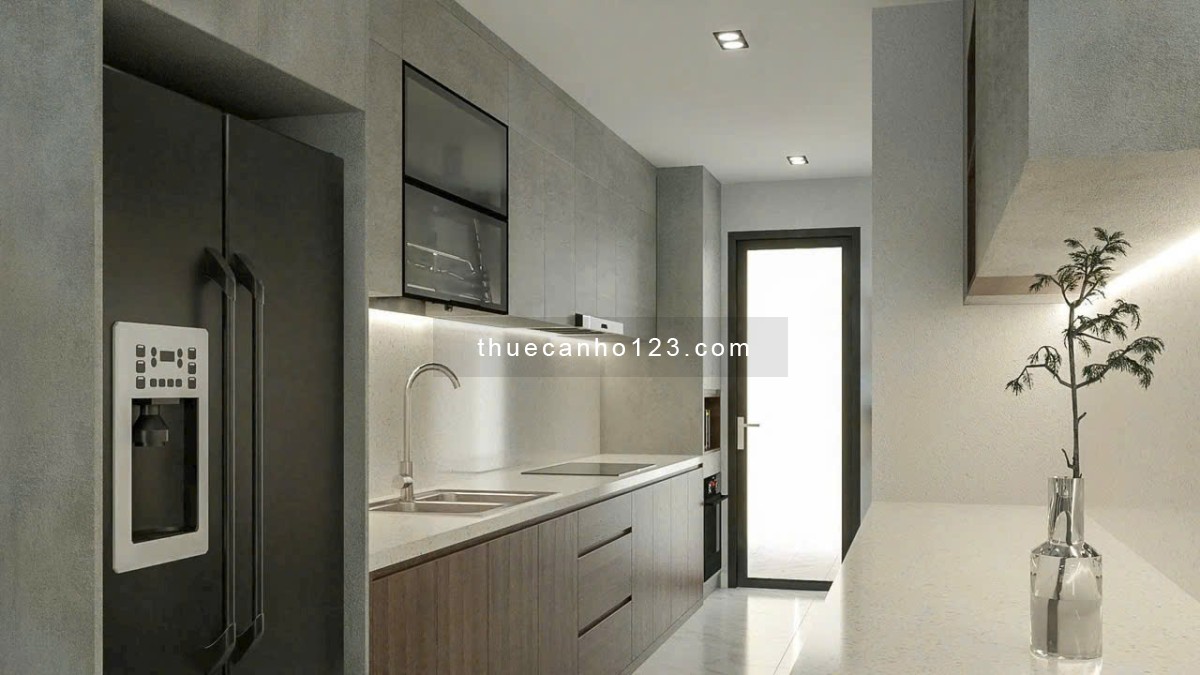 Cho thuê căn hộ chung cư Thuận Việt, Quận 11, 65m2, 2pn, 11,5tr - Ảnh 3
