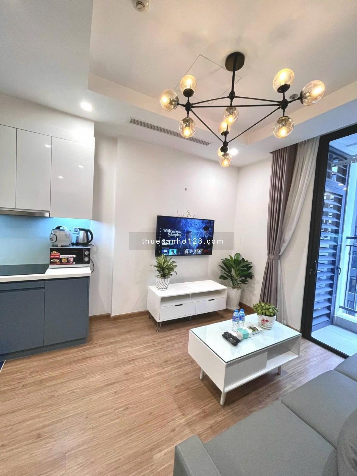 Cho thuê căn siêu phẩm 1N1K giá tốt nhất thị trường Vinhomes Greenbay - Ảnh 2