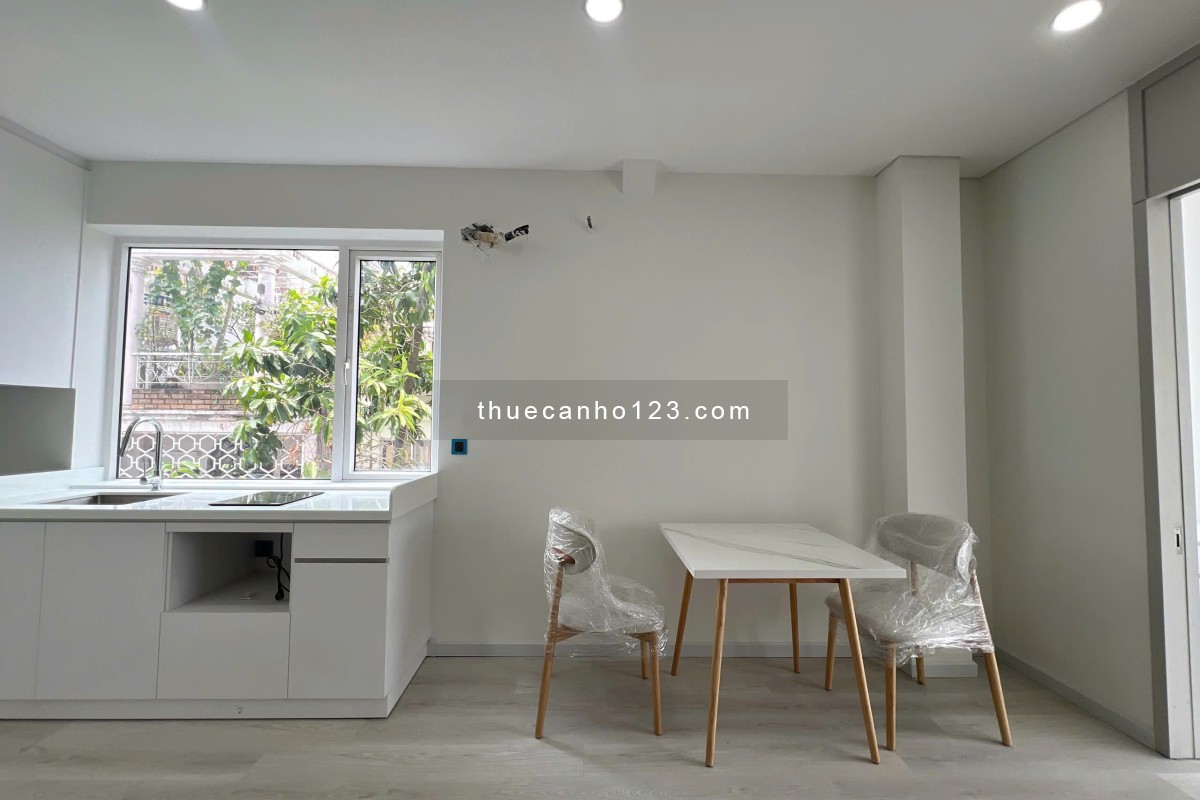 Cho Thuê Căn Hộ 1 Phòng Ngủ Full Nội Thất Có Thang Máy Rộng 55M2 Quận 1 - Ảnh 3