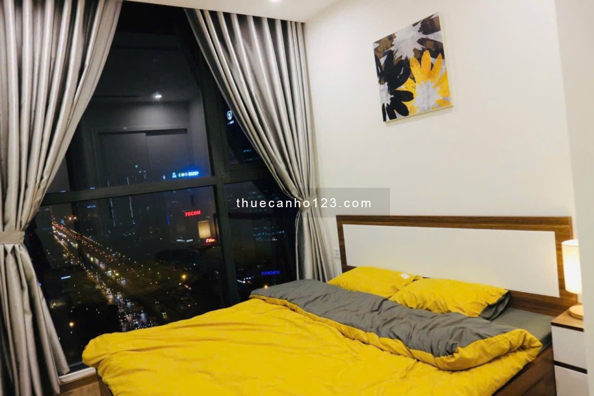 Cho thuê căn hộ Vinhomes Skylake 1 ngủ, nội thất đầy đủ, 18 triệu/tháng - Ảnh 3