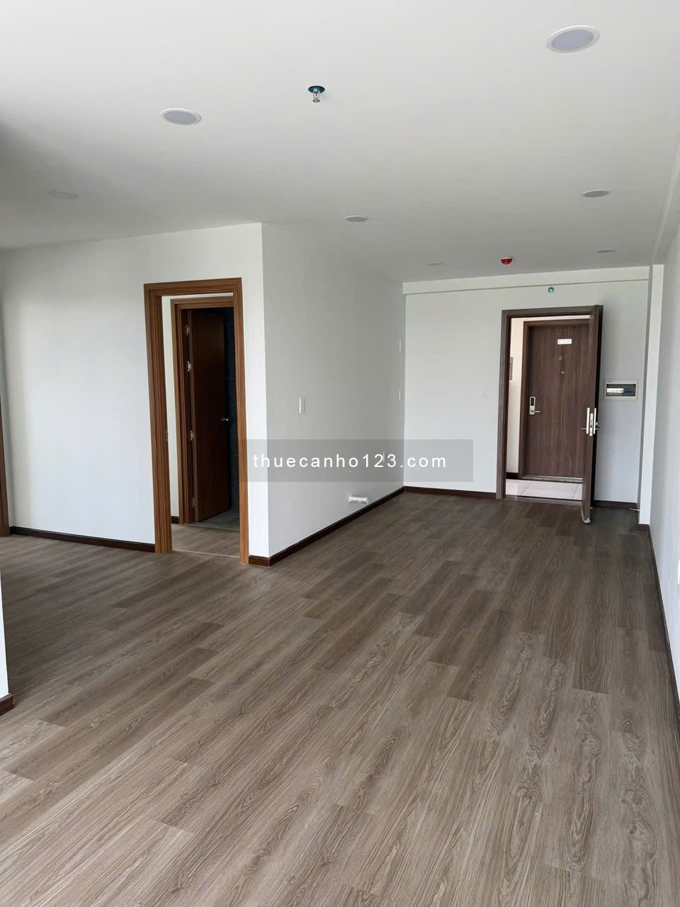 Chung cư Carillon 2, Trịnh Định Thảo, TP: 75m2, nhà trống, 9,5tr, 2PN - Ảnh 3