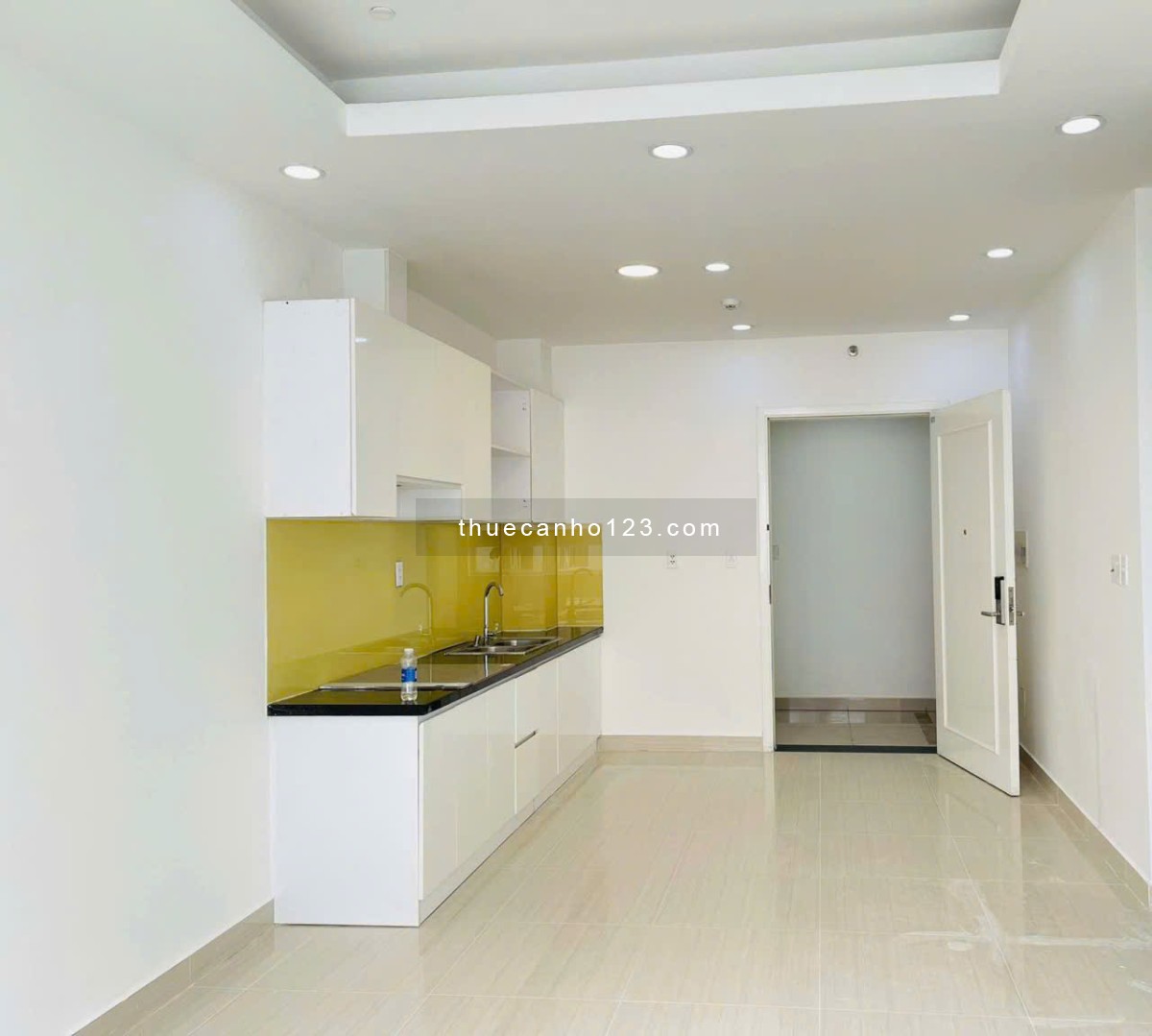 Chung cư Diyas, Nguyễn Đức Thuận, TB: 40m2, NTCB, 6tr/th - Ảnh 2