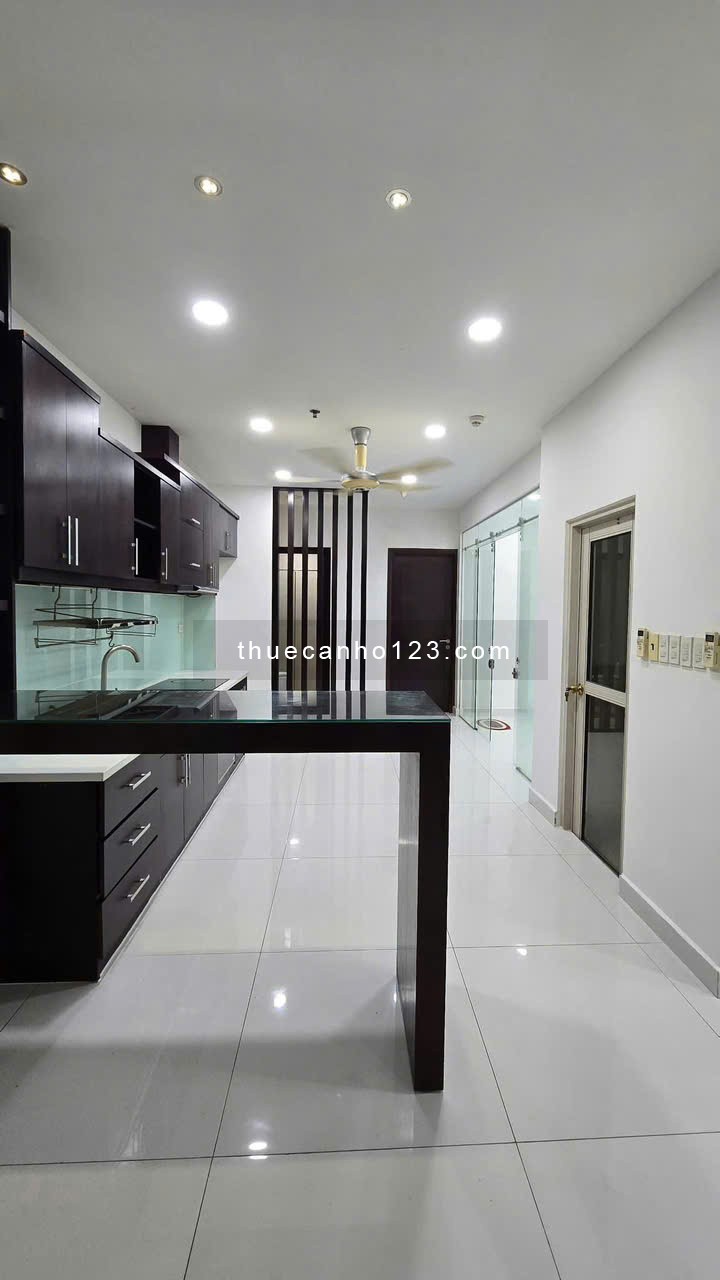 Chung cư Ruby, Nguyễn Sỹ Sách, TB: 120m2, 3PN. nhà mới, nội thất, 13,5tr - Ảnh 5