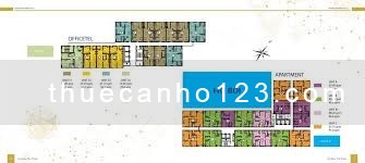 Quận 2 Centana Thủ Thiêm căn Văn phòng 55m2_10tr, 2PN 11tr, 3PN 13tr. - Ảnh 5