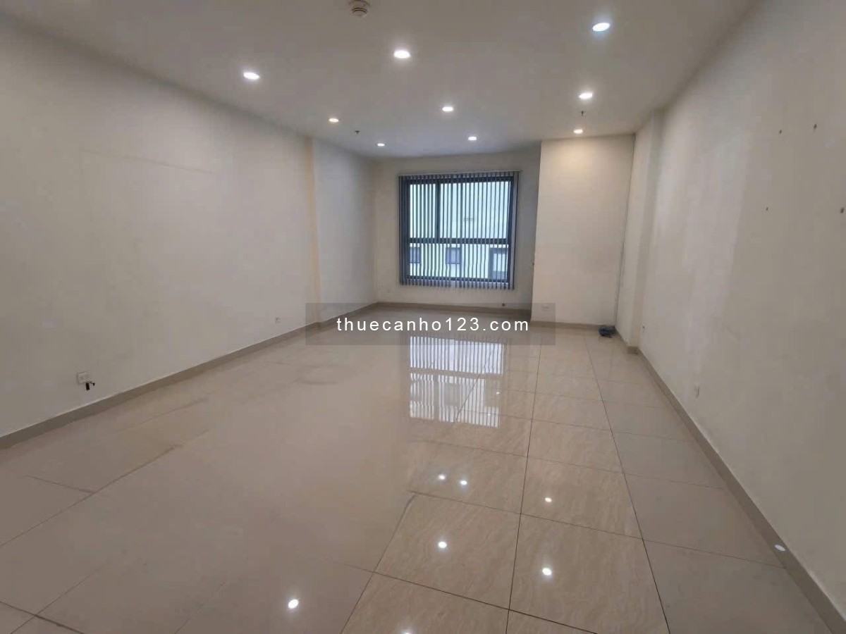 Cho thuê Office tại Chung cư cao cấp Newton Residences - Ảnh 4