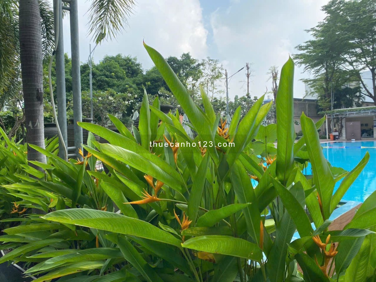 Chính chủ cho thuê căn hộ Him Lam Chợ Lớn 70m2 , 2PN máy lạnh 10,5trtr/tháng LH em nha 0906388825 - Ảnh 5