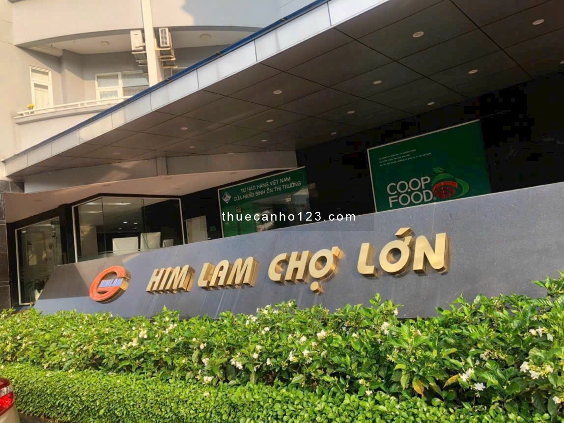 Chính chủ Cho thuê căn hộ Him Lam Chợ Lớn 71m2 2Pn 2WC - LH 0776943586 - Ảnh 2