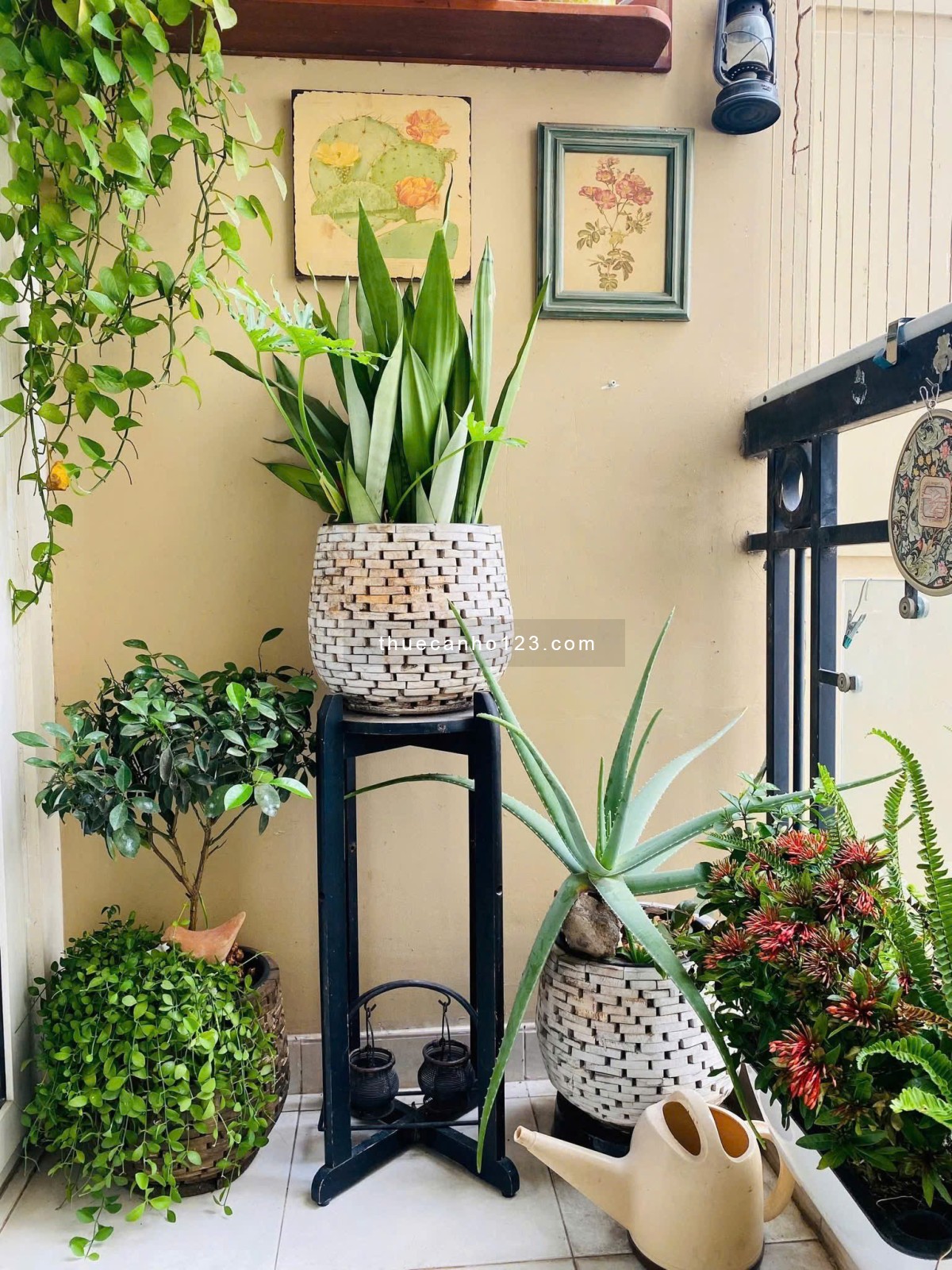 Giá 13tr5/th, C/c Mỹ Phước, Bùi Hữu Nghĩa, BT: 3p ngủ, Full NT, 95m2. - Ảnh 7
