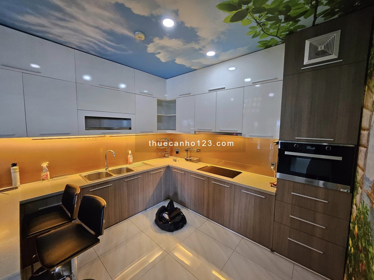 Cho thuê căn hộ penhouse 200m 4pn4wc full nội thất 21tr. dọn ở ngay. - Ảnh 2