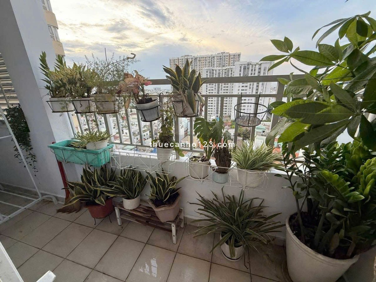 C/c Miếu Nổi, Vũ Huy Tấn, BT: 3PN, full NT, 95m2, nhà sạch, 14tr/th, Bancong - Ảnh 3