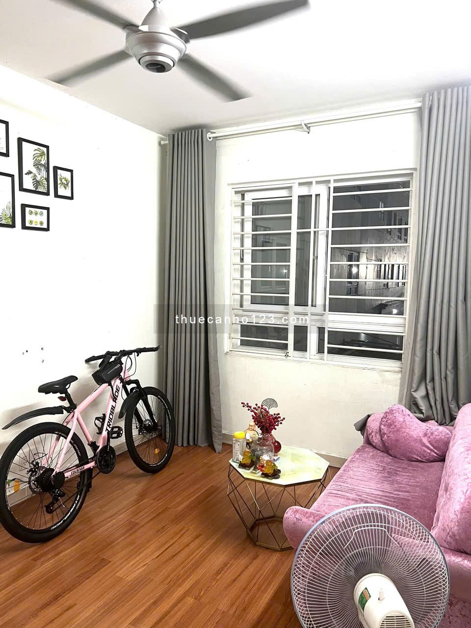 Chung cư Thái An, Nguyễn Văn Quá, Q12: 45m2, 1pn, có NT, 6tr/th - Ảnh 3