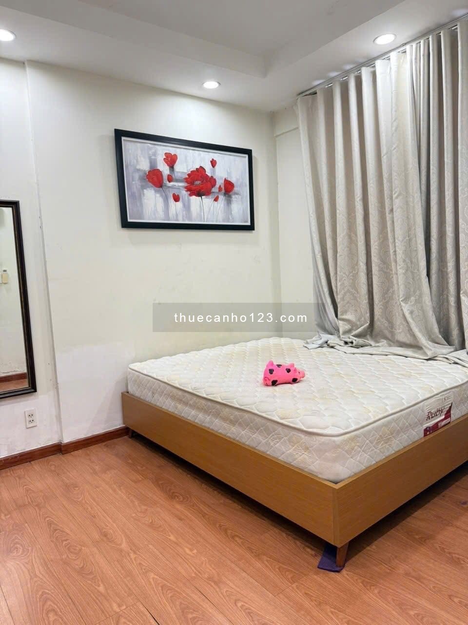 Chung cư Ruby, 2A Nguyễn Sỹ Sách, TB: 120m2, 3p ngủ, full NT, 13,5tr - Ảnh 3