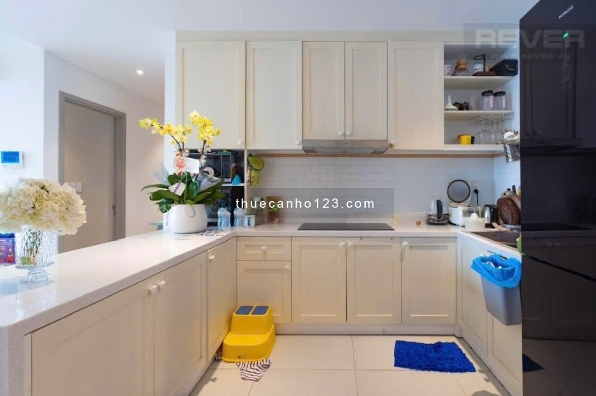Căn 3PN, 3WC, 120m2, C/c Ruby Garden, Nguyễn Sỹ Sách, TB, 13tr5/th. - Ảnh 3