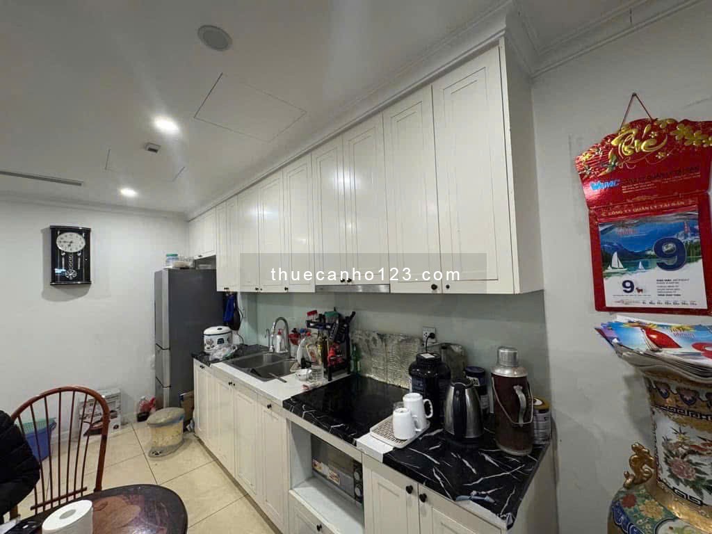 Ruby Garden - Nguyễn Sỹ Sách, 110m2, 3PN, 3WC, Nội thất mới, 13tr5/th. Sahh - Ảnh 5