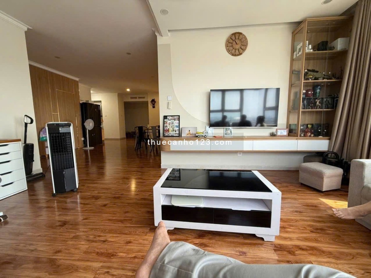 Ruby Garden- Nguyễn Sỹ Sách, 120m2, 3PN, 3WC, Nội thất mới, 13tr/th. - Ảnh 4