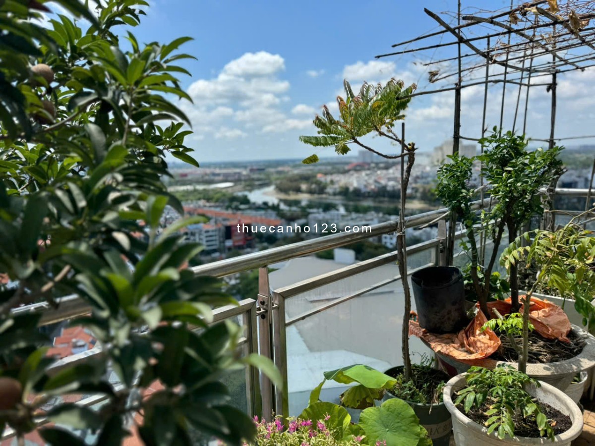 Cho thuê Penthuose Him Lam Riverside Quận 7, 204m, 4pn, 4wc, full nội thất, giá 40 triệu - Ảnh 3