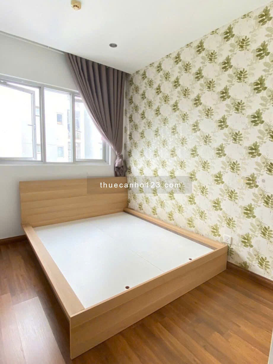 Chung cư Ruby, Nguyễn Sỹ Sách, TP: 3p ngủ 125m2, NT đầy đủ, 13,5triệu - Ảnh 6