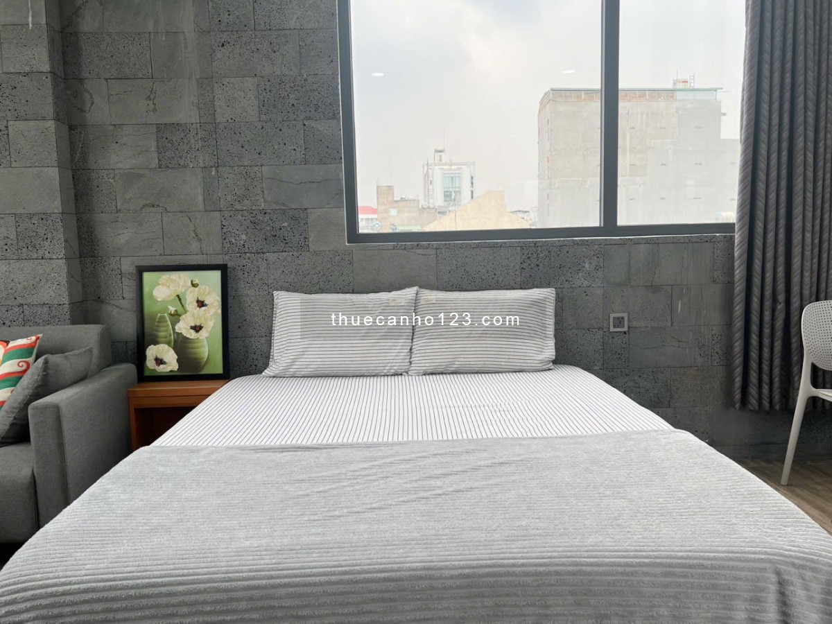 Cho thuê căn hộ cửa sổ lớn hiện đại gần Hàng Xanh, đường Điện Biên Phủ, quận Bình Thạnh - Ảnh 4