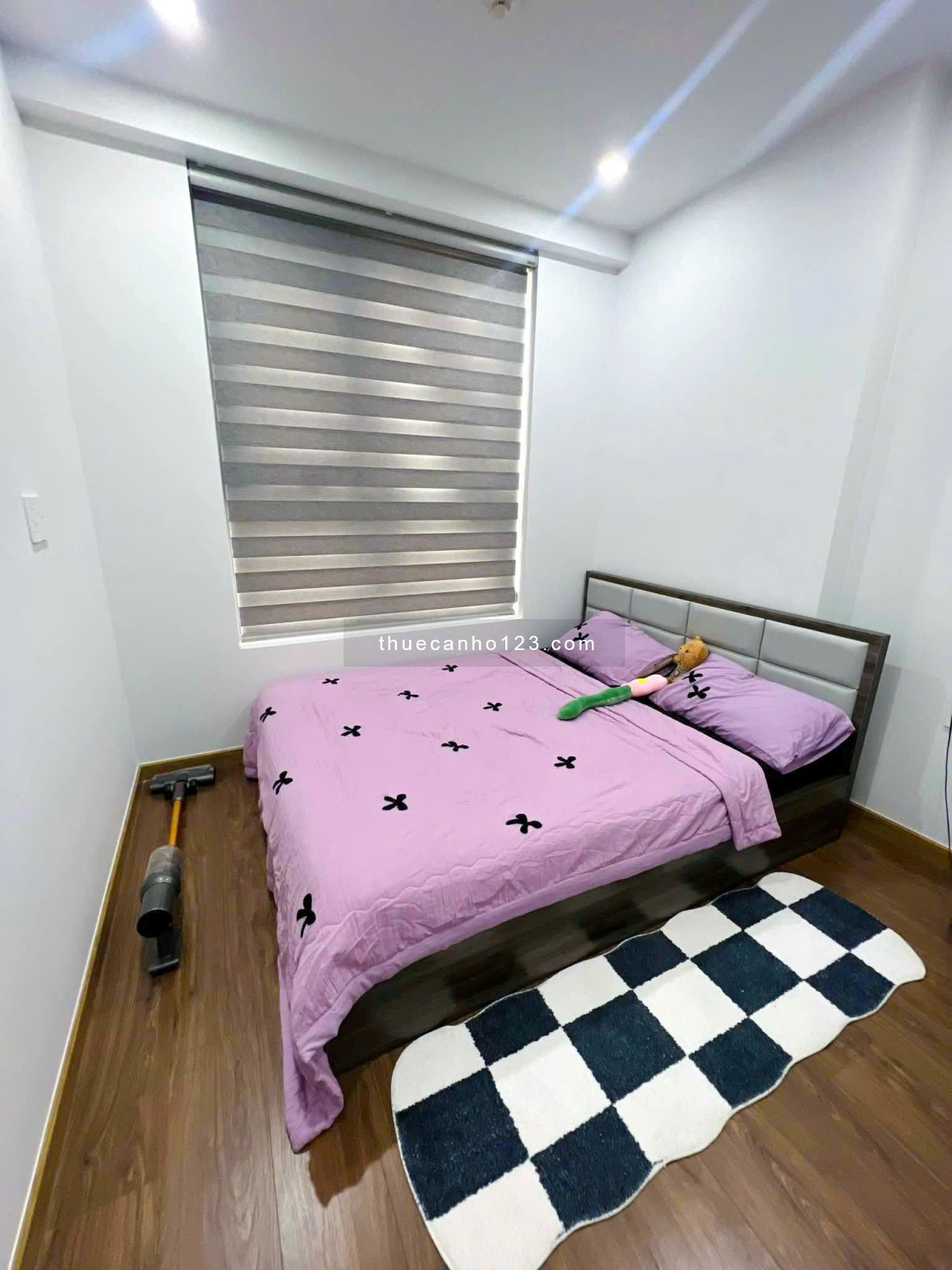 CHÍNH CHỦ CẦN CHO THUÊ BCONS TOPAZ CĂN 2PN2WC - Ảnh 4