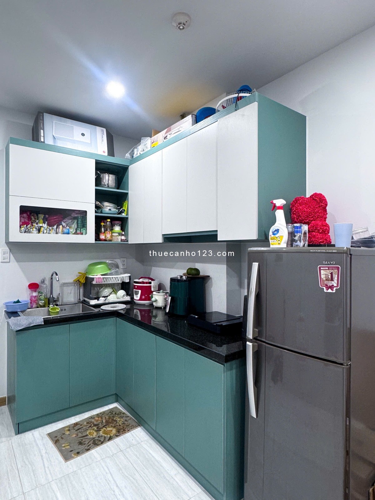 CHÍNH CHỦ CẦN CHO THUÊ BCONS TOPAZ CĂN 2PN2WC - Ảnh 5